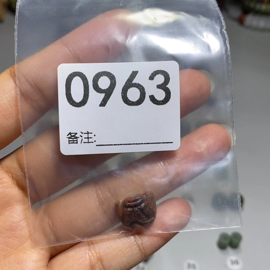 颈饰未镶嵌透闪石质玉悠**～