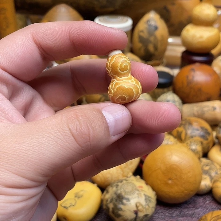 *****我是一只小小鸟地域