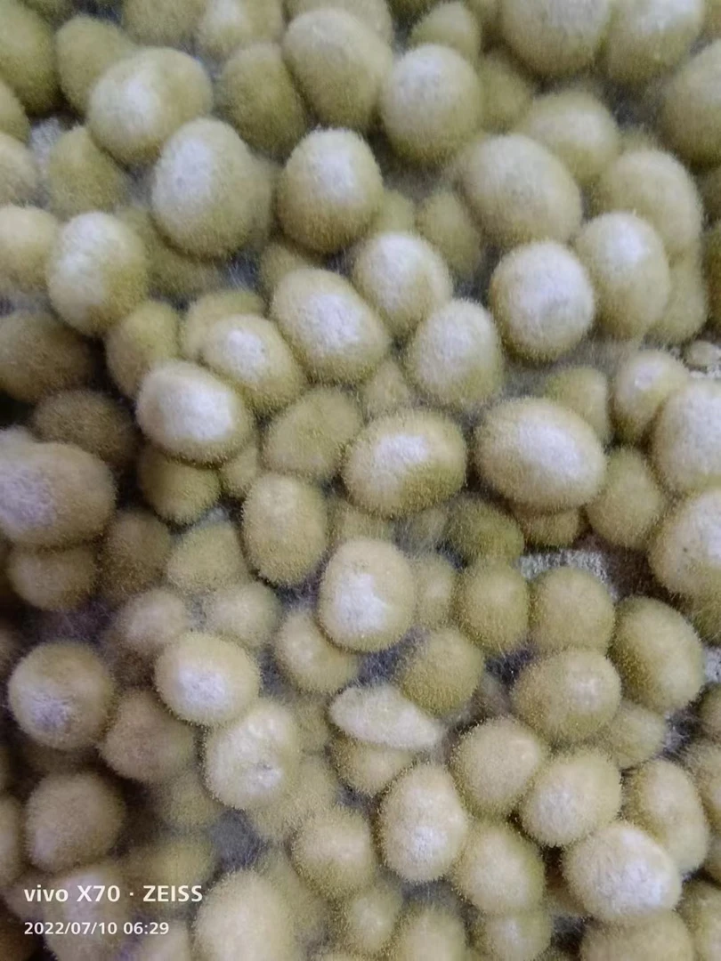 老肥老传统黄霉豆
