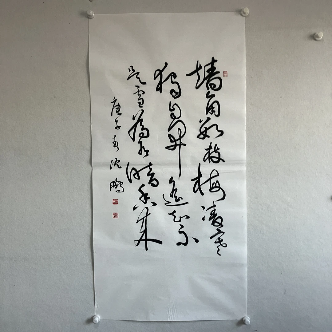 5765沈鹏 书法 纸本水墨136×68cm