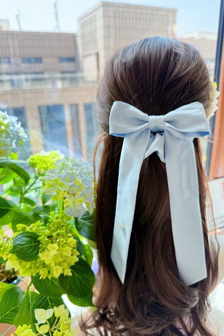 手作大肠发圈（直播专链，价格多少元就拍多少件）