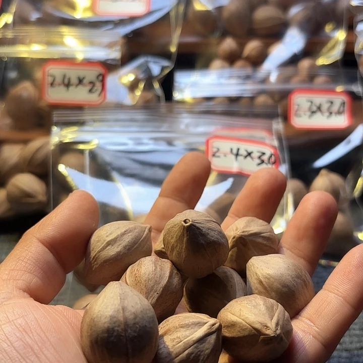 我***！吊坠橄榄核2.4❌3.1素核