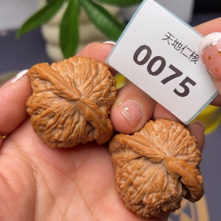 文玩核桃把件44白狮子75