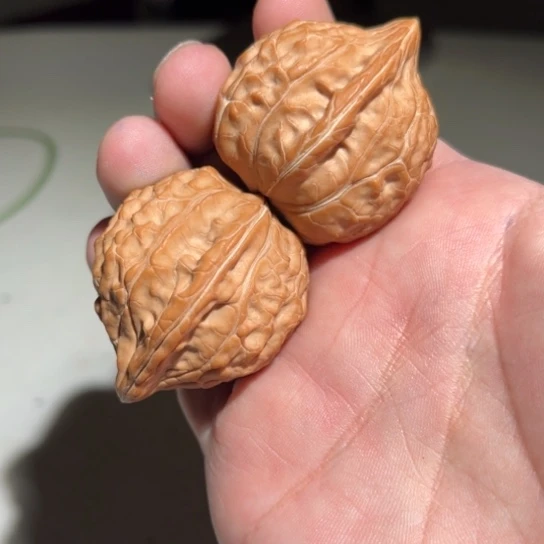 文玩核桃吊坠龟甲文