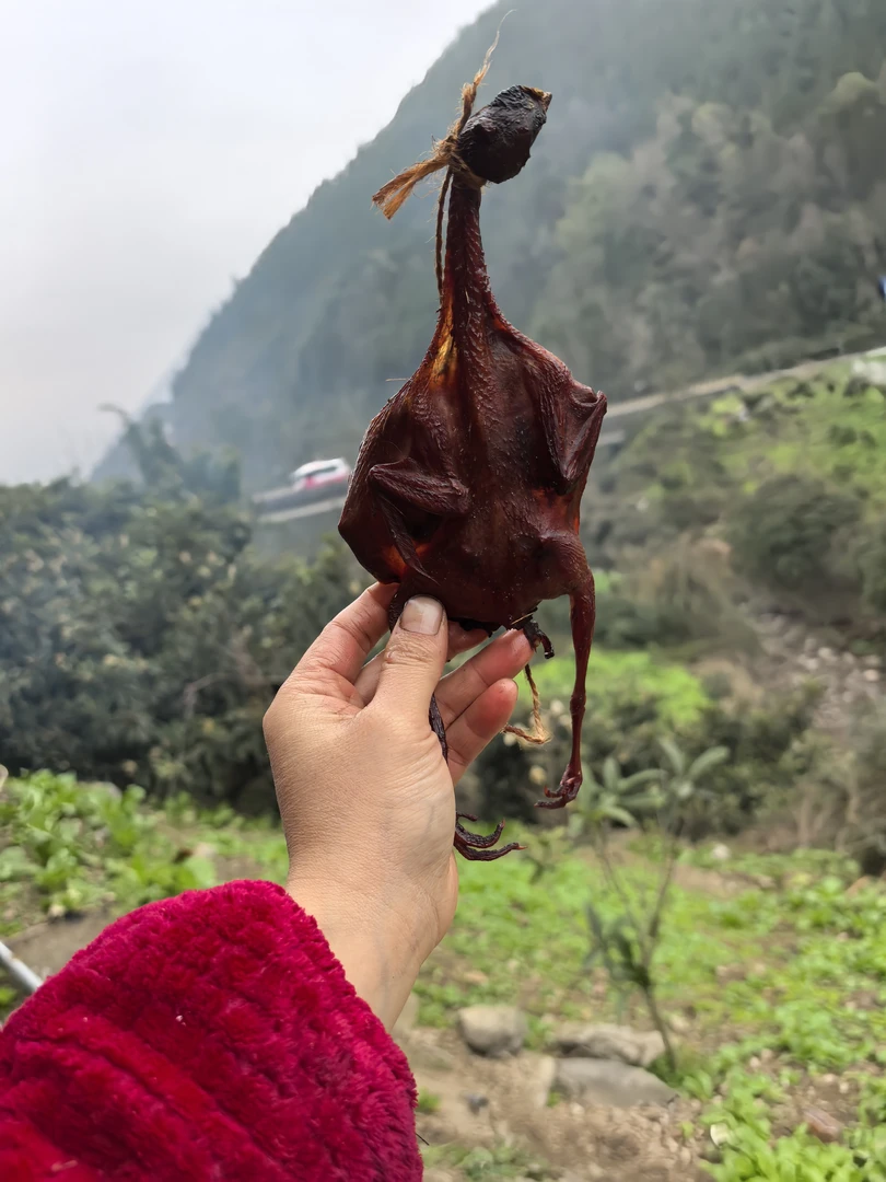 农家散养烟熏鹌鹑