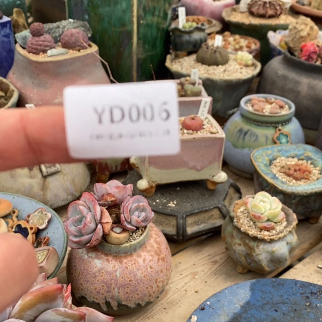 粗砂花盆小****YD006已配已配