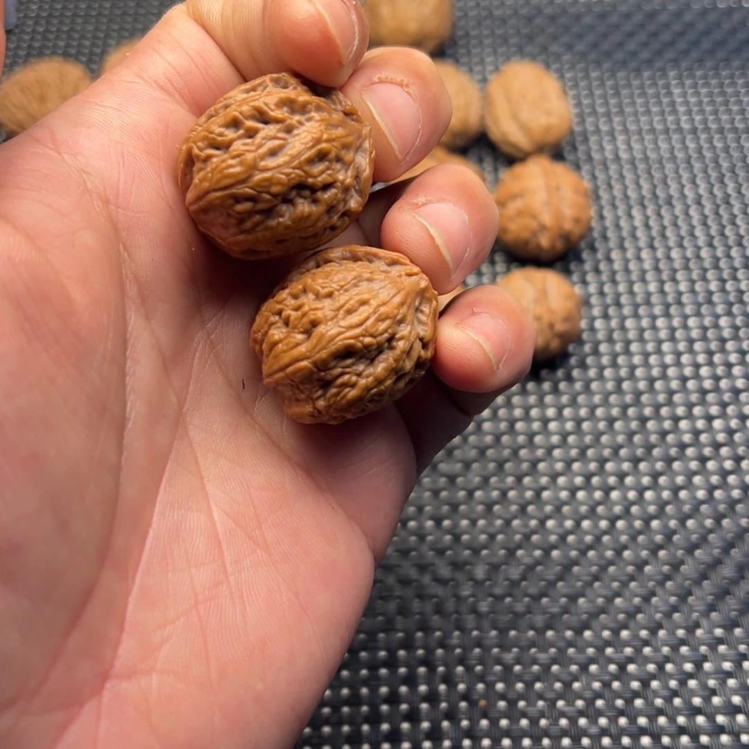 文玩核桃把件龙骨一道筋