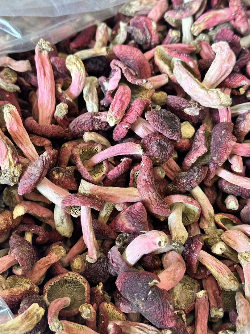 一元菇 浪水小标菇 野生红菇 250g