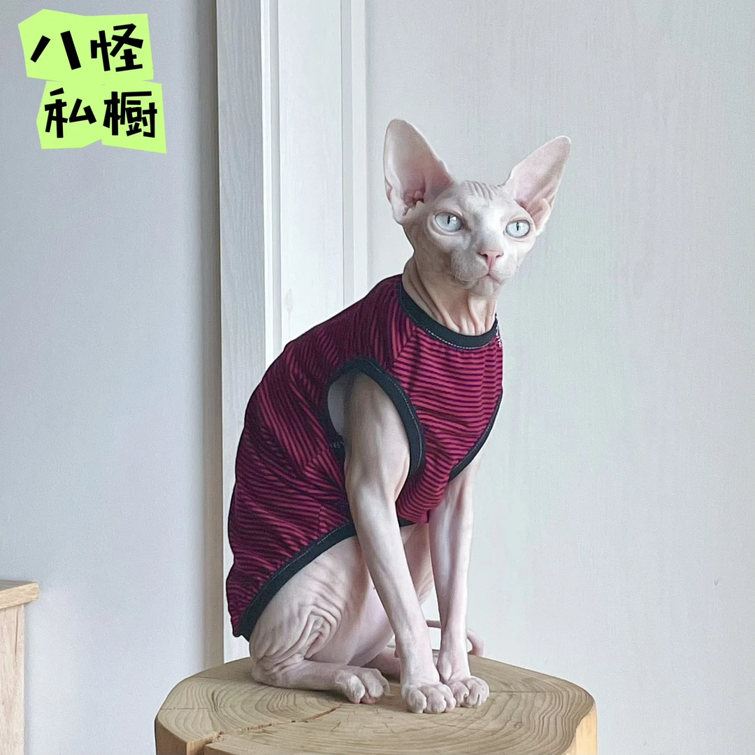 手工制作无毛猫德文猫莫代尔弹力透气纯棉贴身红色条纹背心