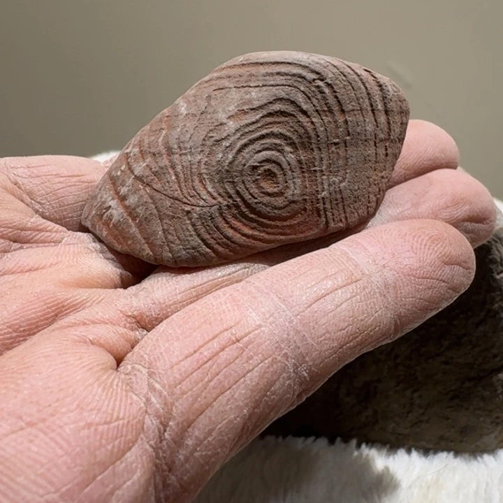 石***）香榧木石头啊啊啊啊