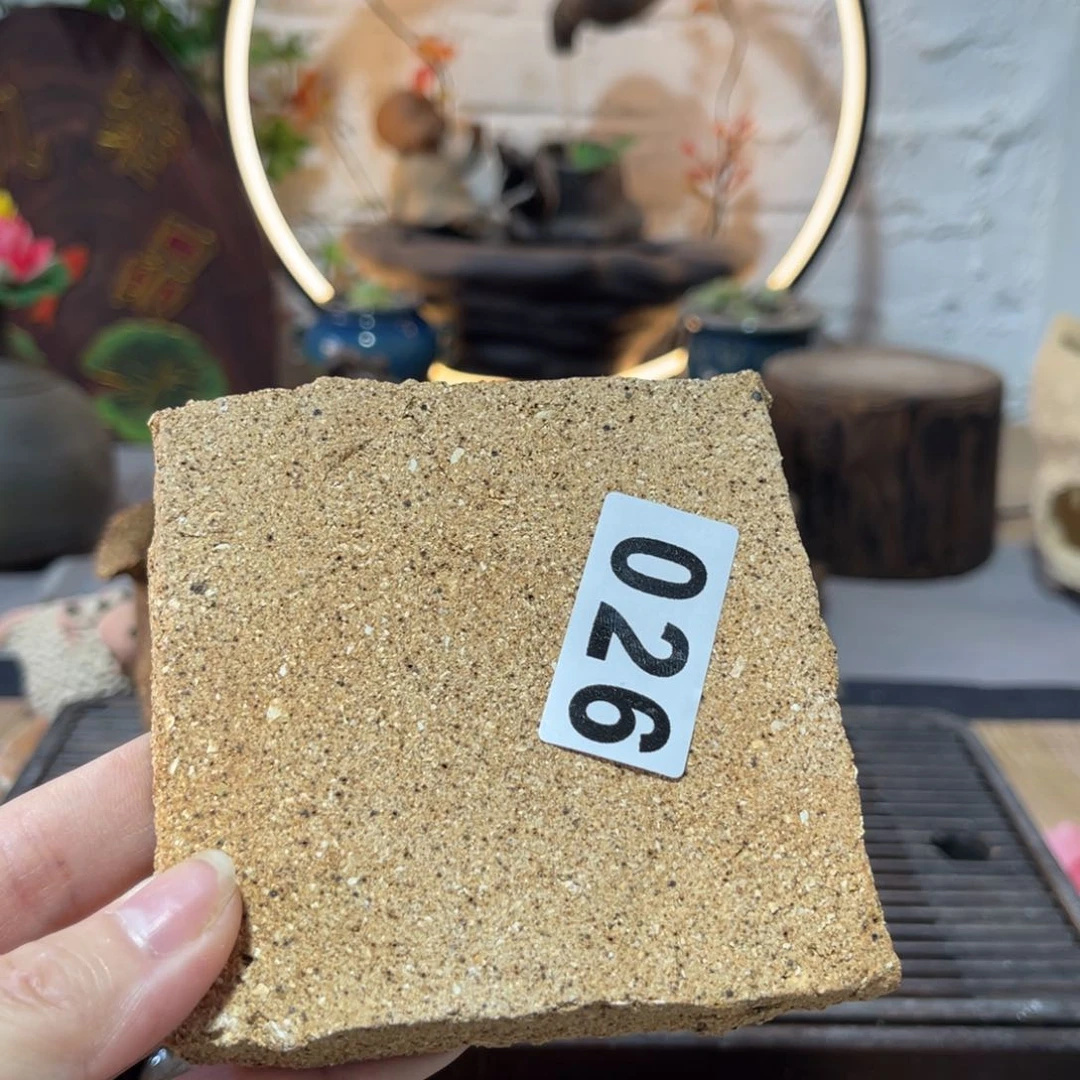 木村信弘柴烧保平