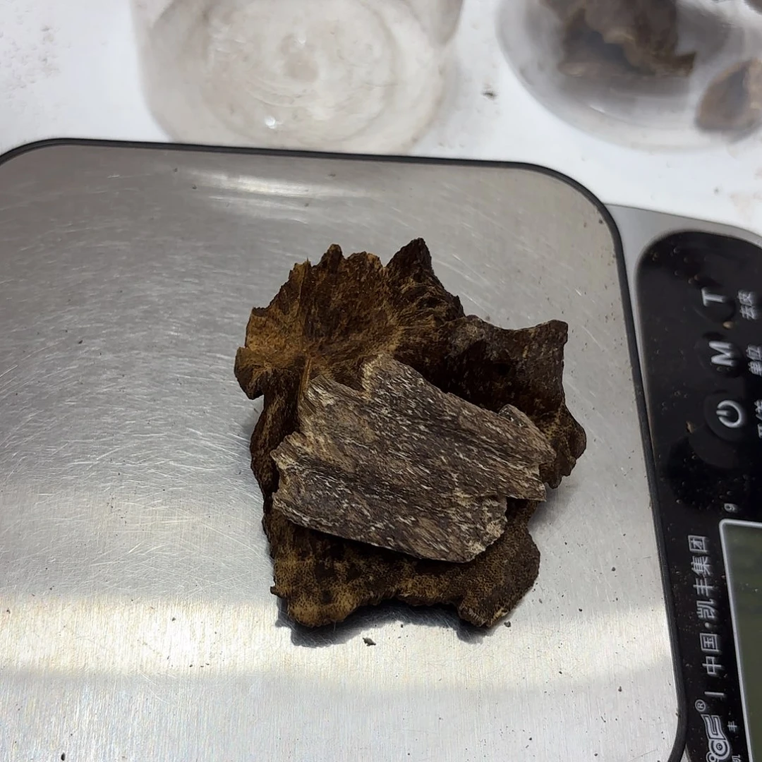 沉香沉香碎屑亮海南壳子