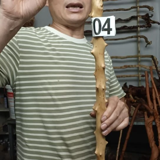 用***6香榧木高山 檬子木文玩料