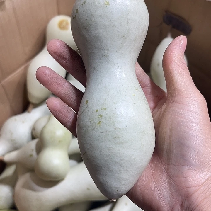 非洲紫檀（红花梨）海****9