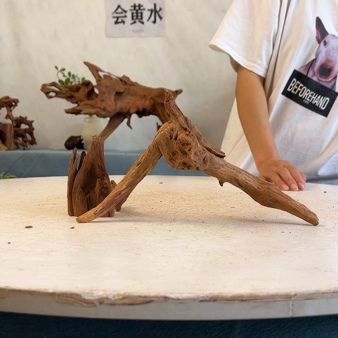 沉木造景寄居蟹景