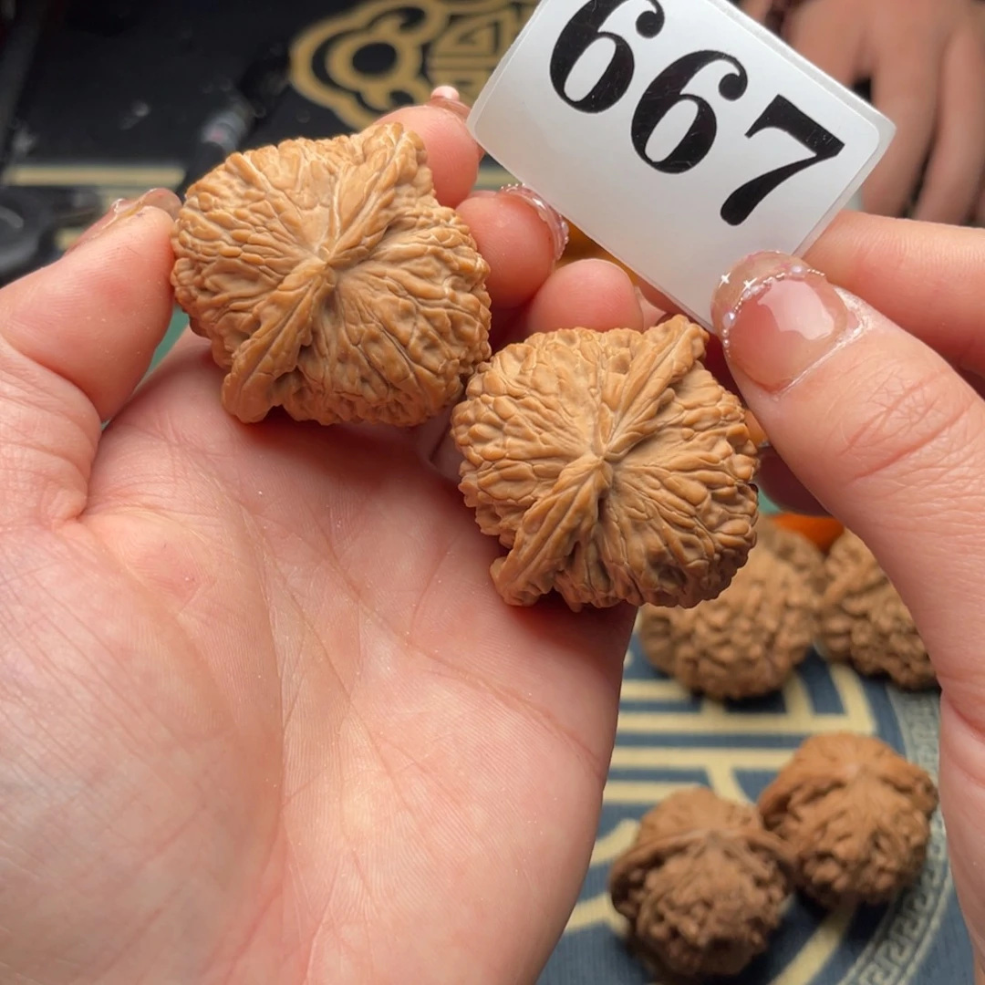 桃核把件41全品白狮子667号