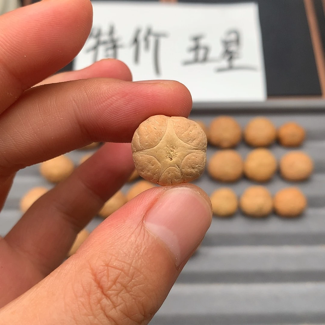 凤眼菩提吊坠特价18+五星，非质量问题开孔不退