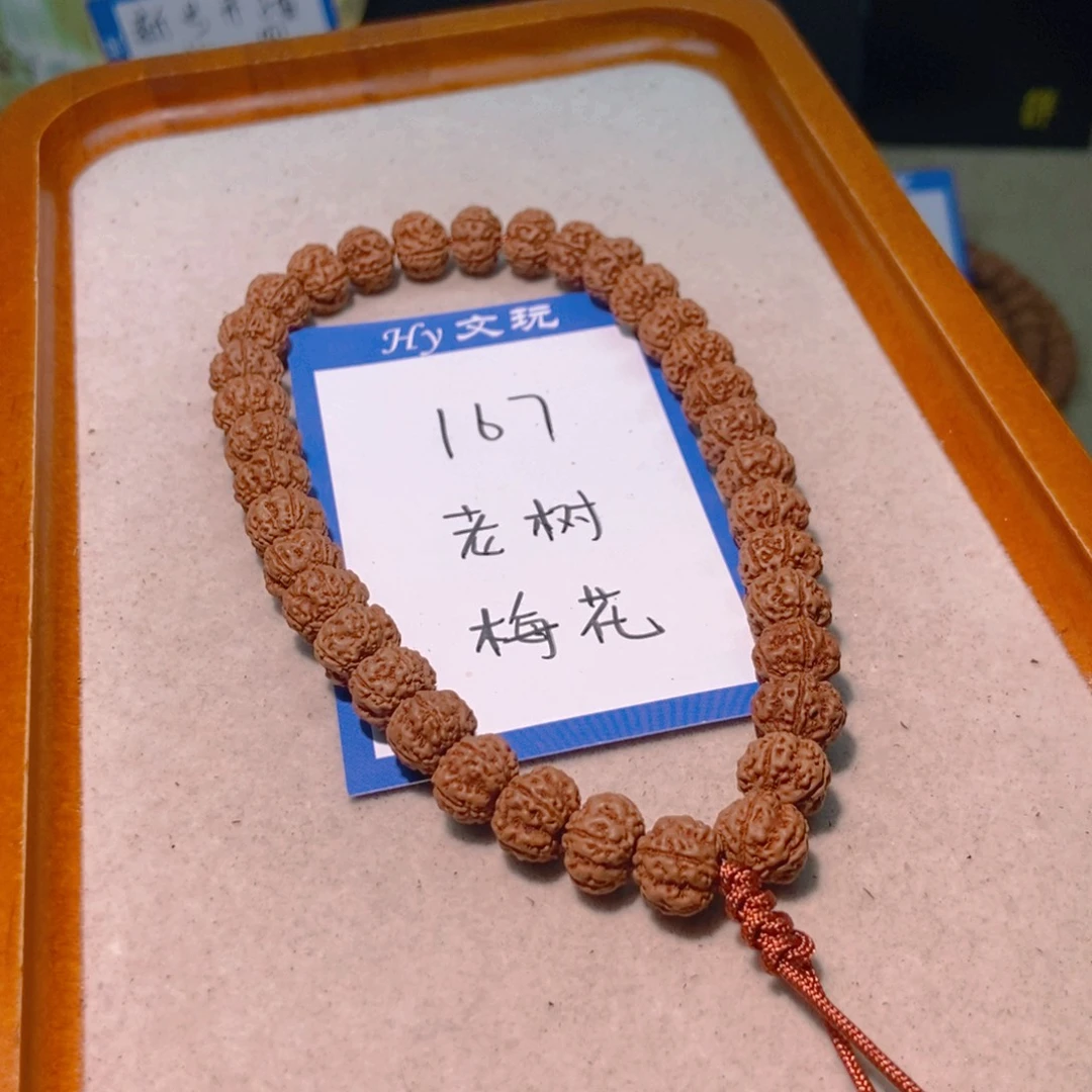 手串金刚菩提167老树梅花10