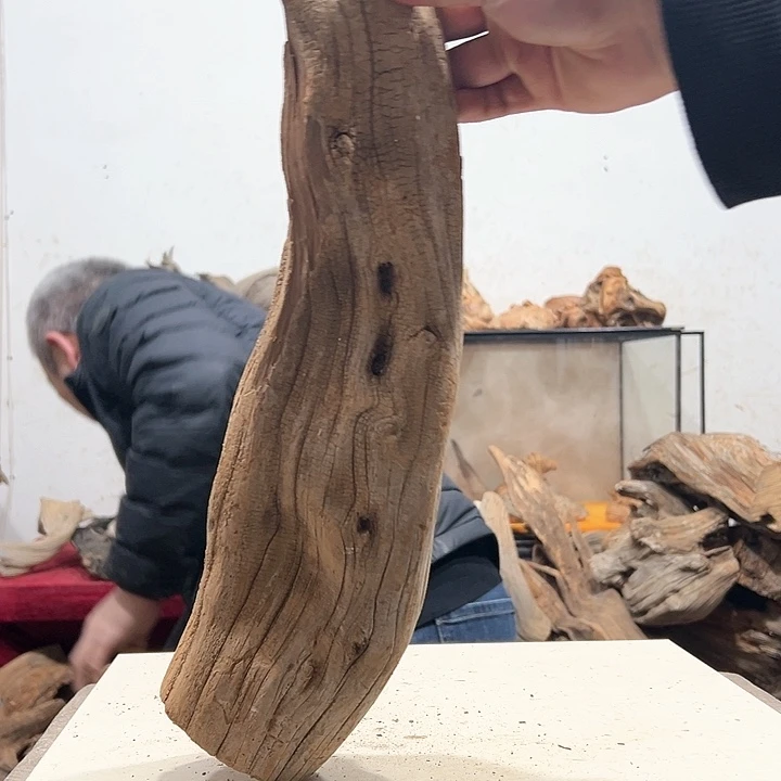 柏木抖*′我们都是好孩子呀我