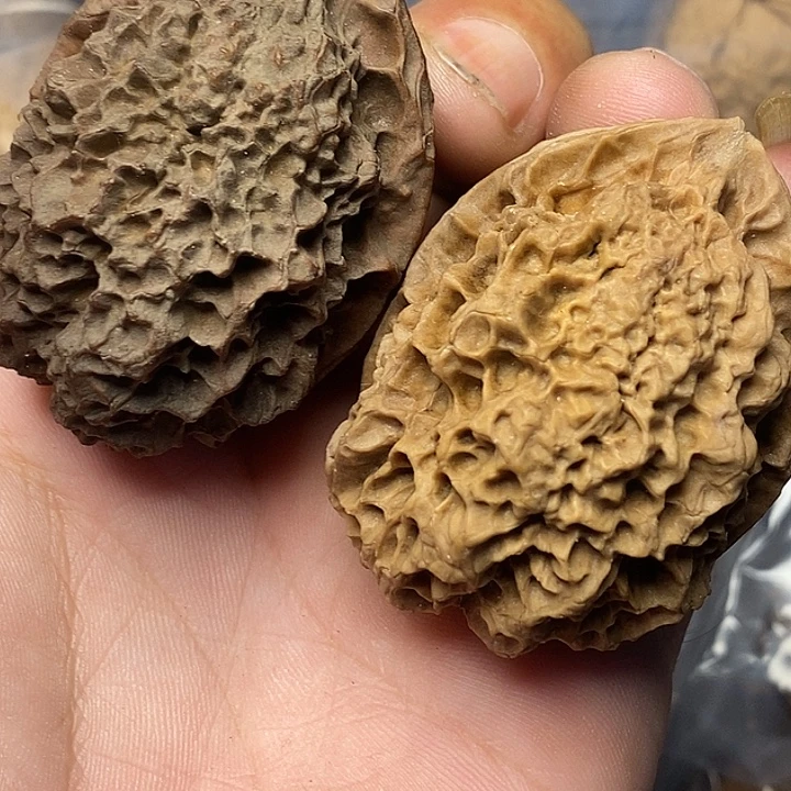 把件文玩核桃云南铁核桃11号43mm