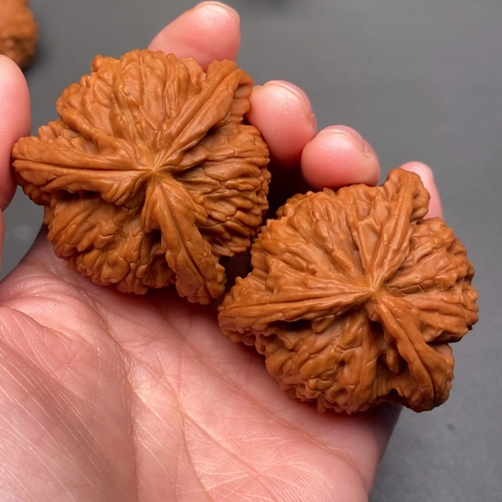 猫***～木质类核桃核桃核桃