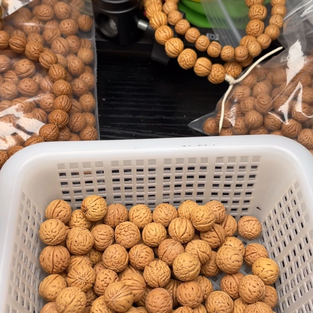 【闪购商品】自**乐散子批发100米