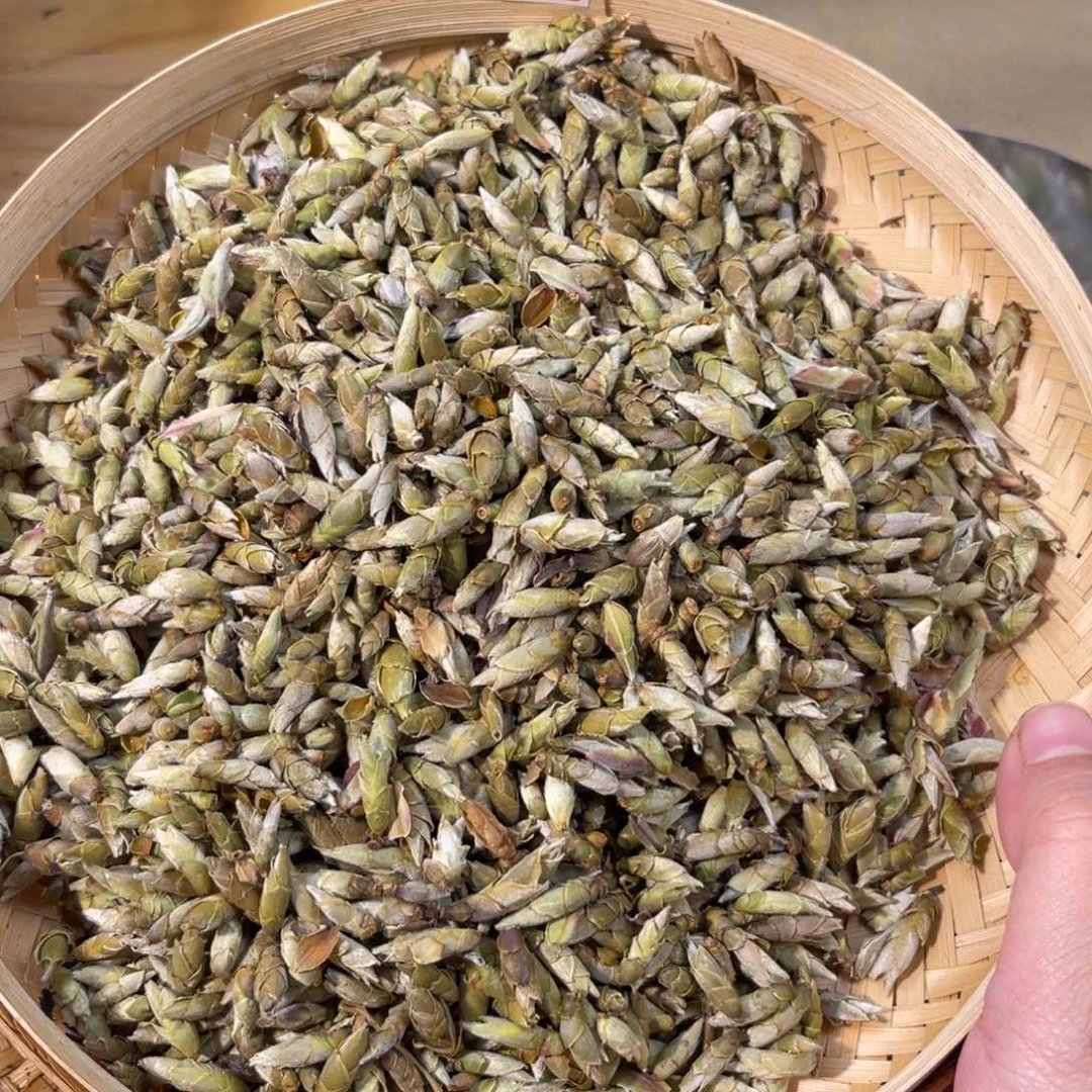 壶1020号龙云陶艺白云推荐