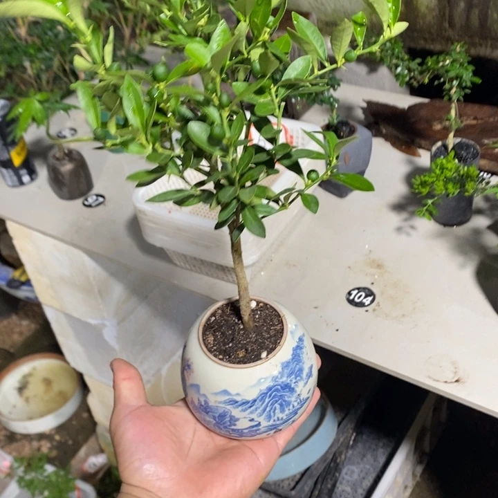 是***～完全开放退款拉黑一物一拍69