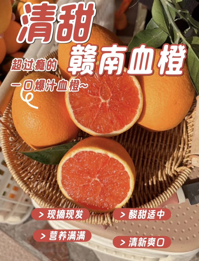 赣南红血橙新鲜当季水果红心橙子产地直发