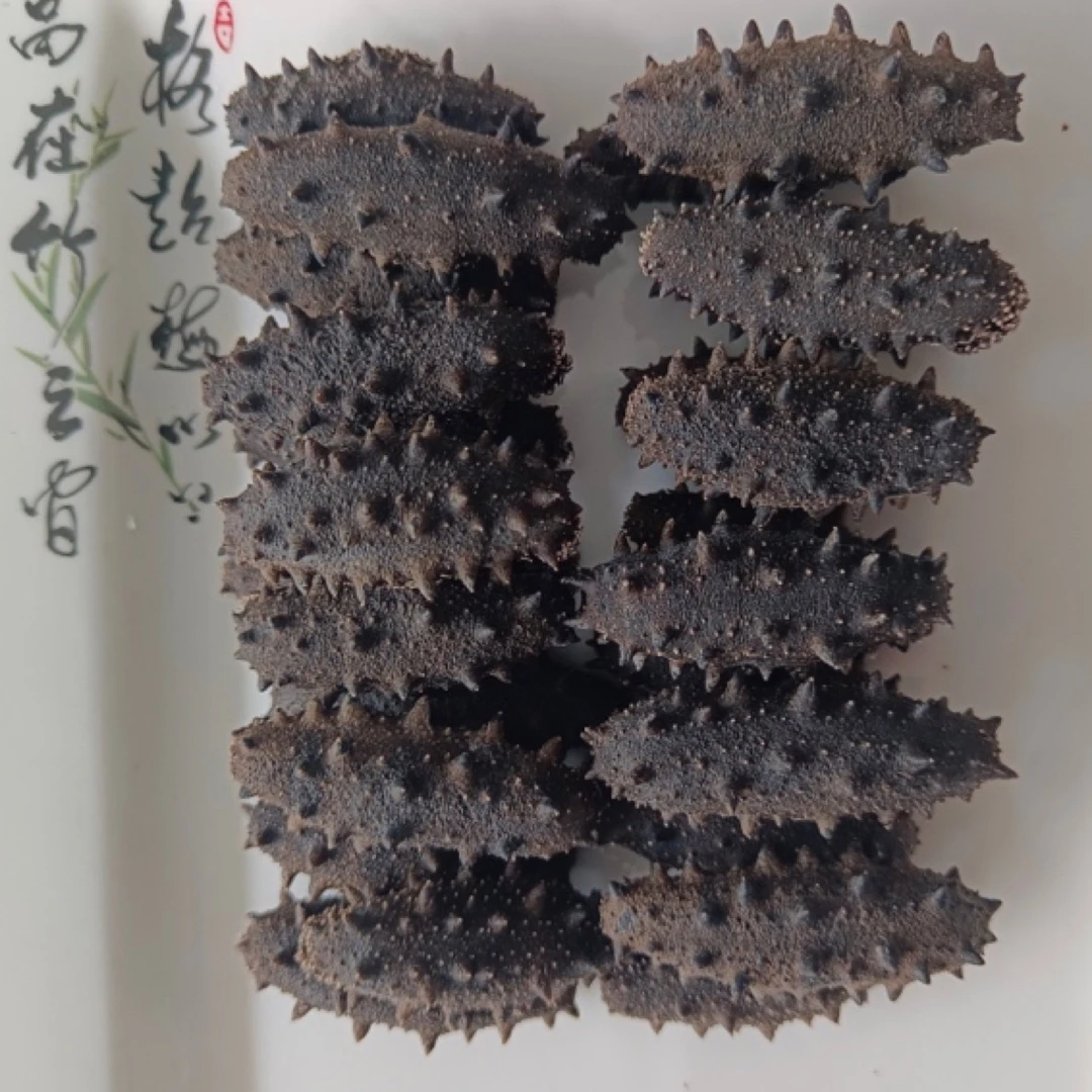 半干海参【热销款】 盐渍海参  真围堰拉缸盐