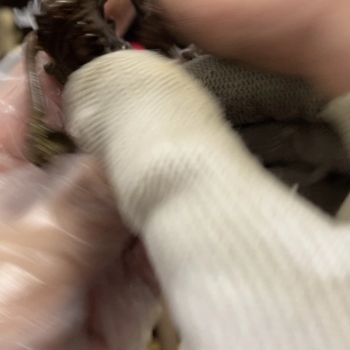 工艺品出现谢谢谢谢谢谢