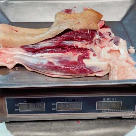 【闪购商品】冷冻保存30天包装河北省