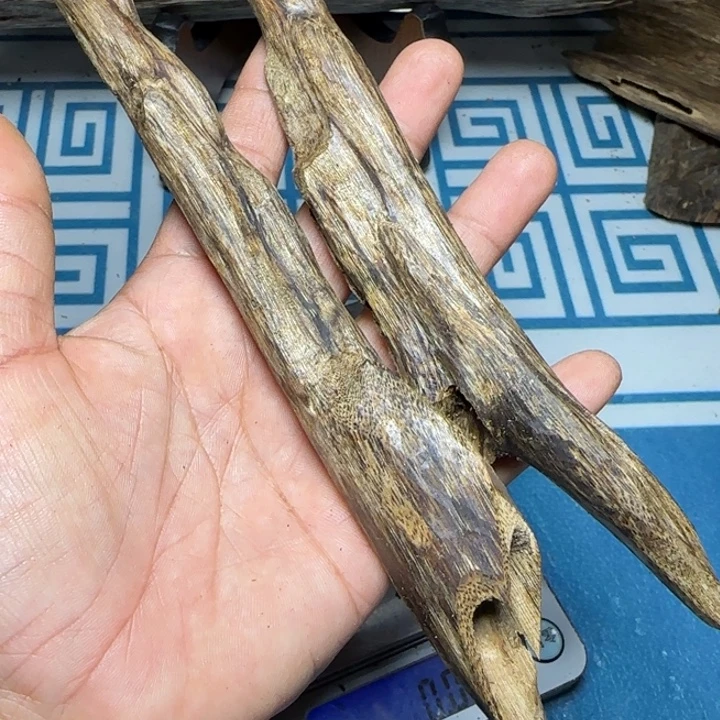 香粉绿奇陆河虫漏25克