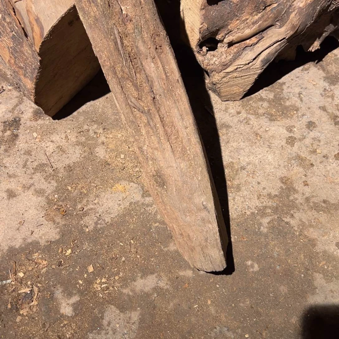 金丝楠嗨***子222222222222