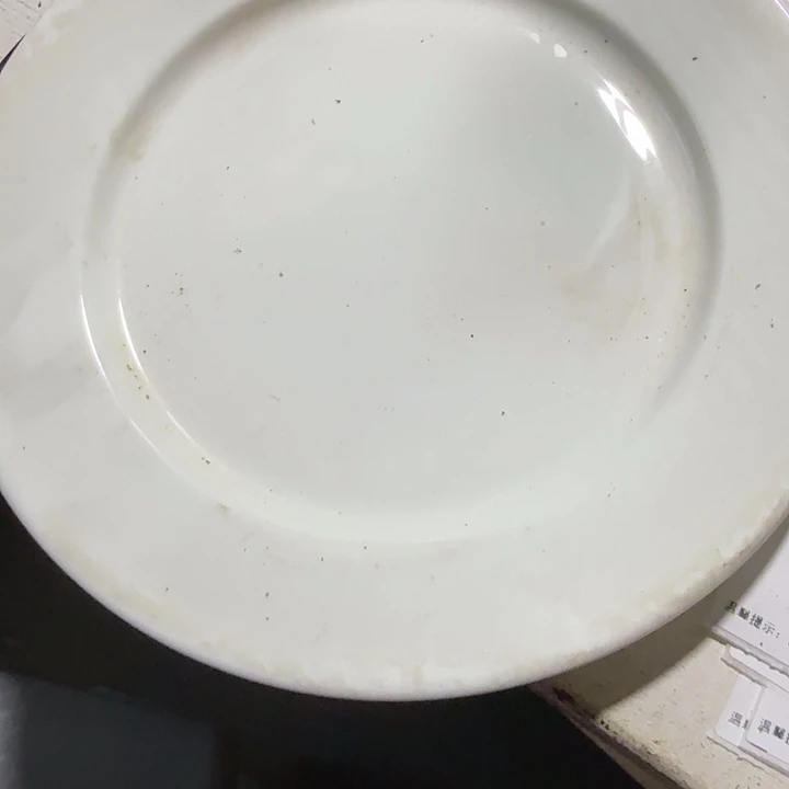外贸尾单高温陶瓷微暇骨瓷白色餐盘两个
