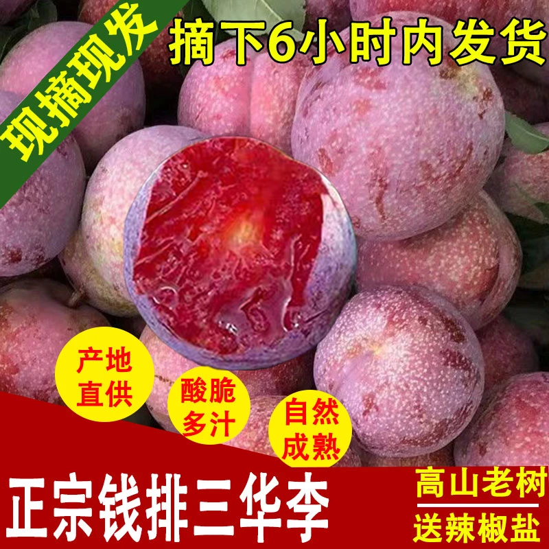 现货广东信宜正宗钱排三华李红心李当季应季新鲜采摘孕妇酸甜水果
