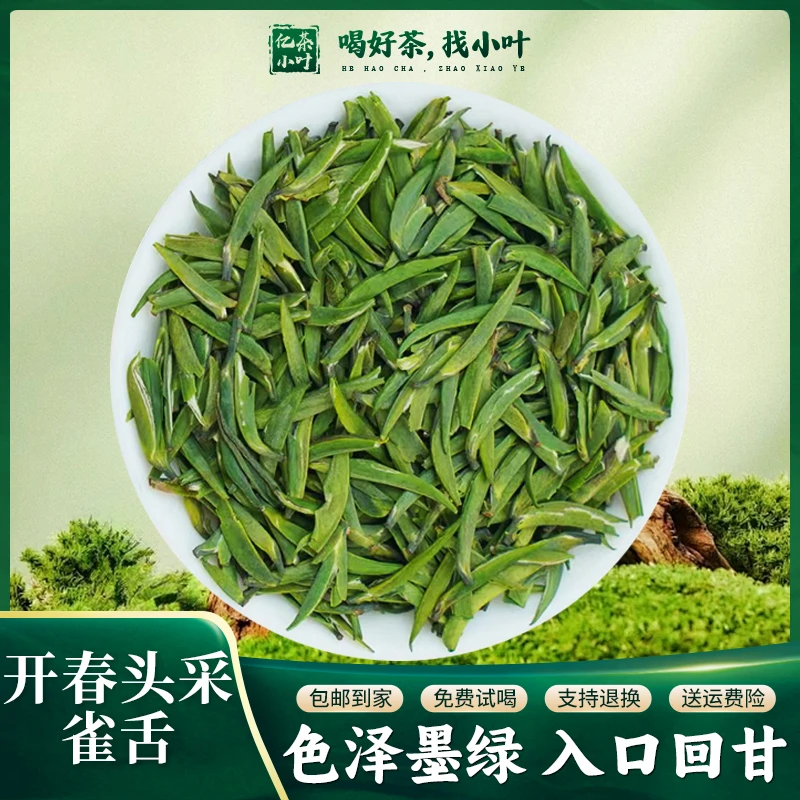 2025头春头采新茶手工竹青茶