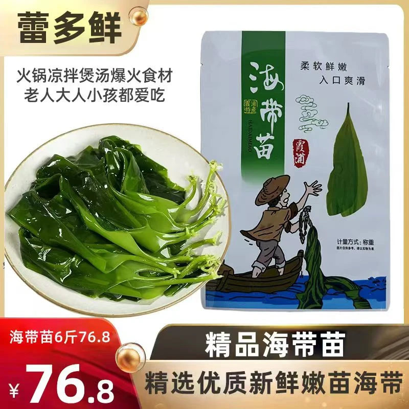 海带嫩苗特级小海带商用芽头新鲜盐渍非干货火锅煮汤专用食材批发