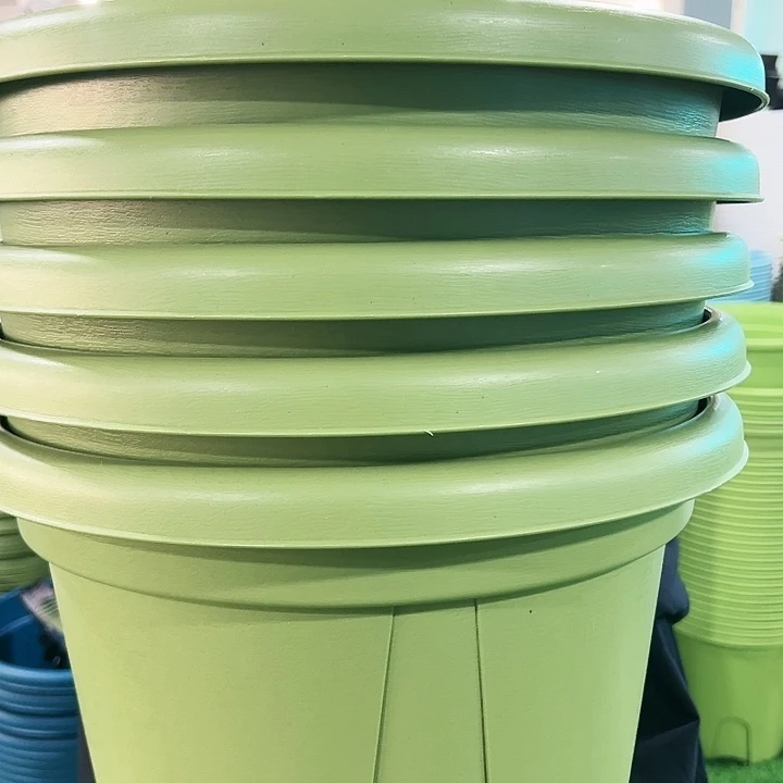 清仓青山口40高34果绿色5个无托