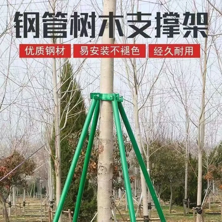 镀锌钢管树木支撑架园林绿化防风苗木固定器