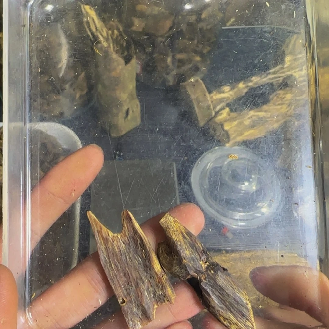 大***哥沉香陆河块料发一份