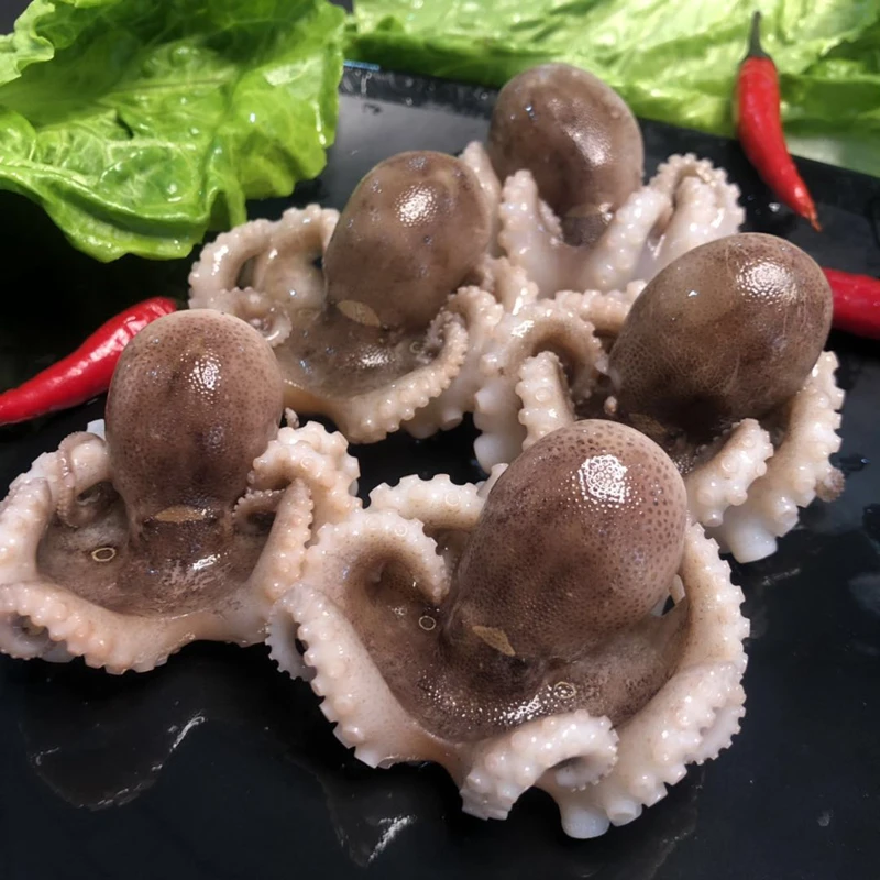 短腿精品八爪鱼，速冻发货 连云港顺丰  2斤/4斤