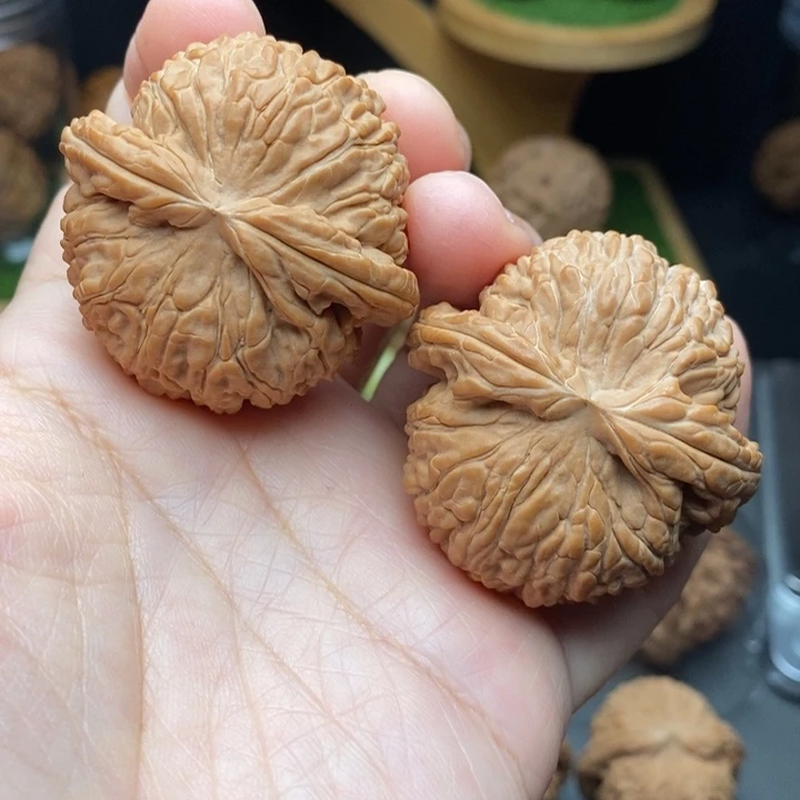 把件文玩核桃露**丶白狮子44