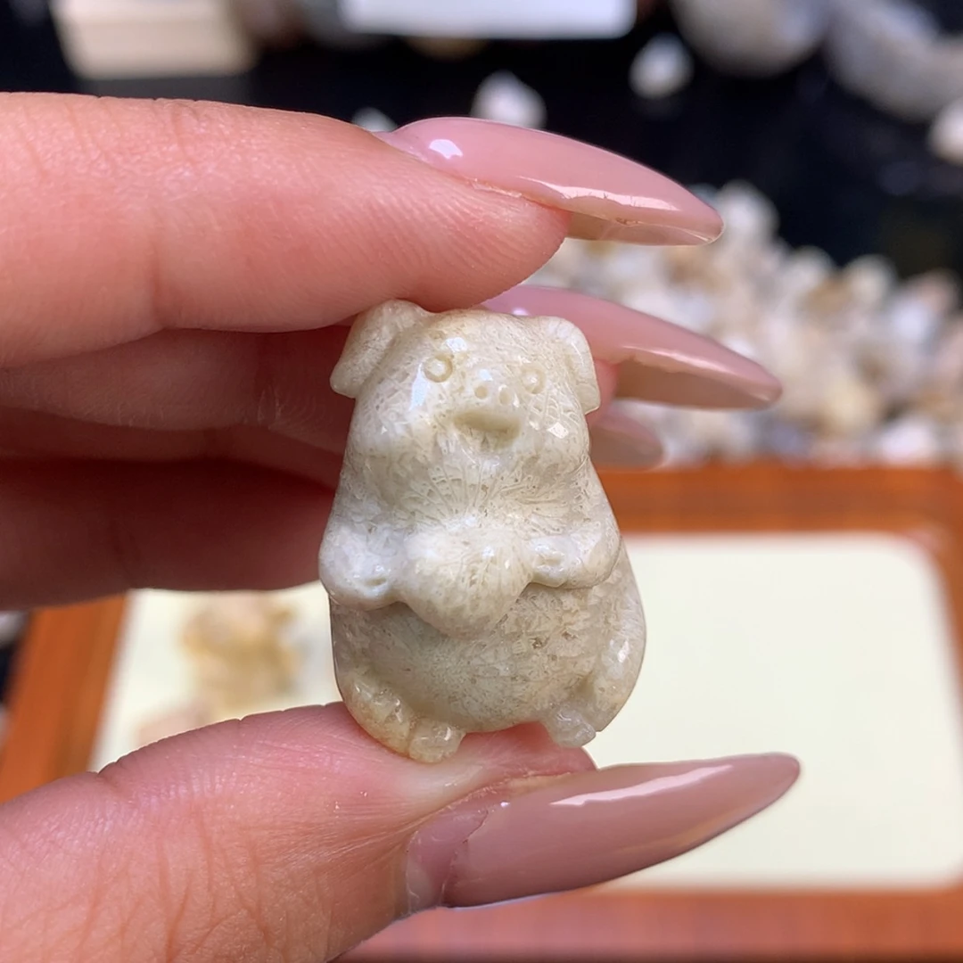 【闪购商品】颈饰未镶嵌硅化珊瑚（珊瑚玉）我***肉