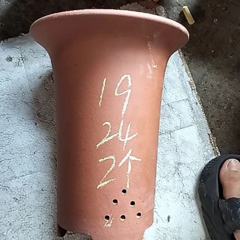 大红兰花两个花盆