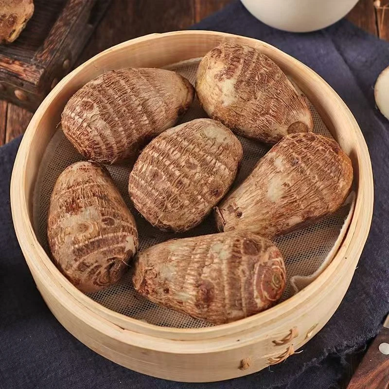 [专属]芋头新鲜山东奶香芋头小奶芋牛奶芋头高山当季蔬菜香粉糯