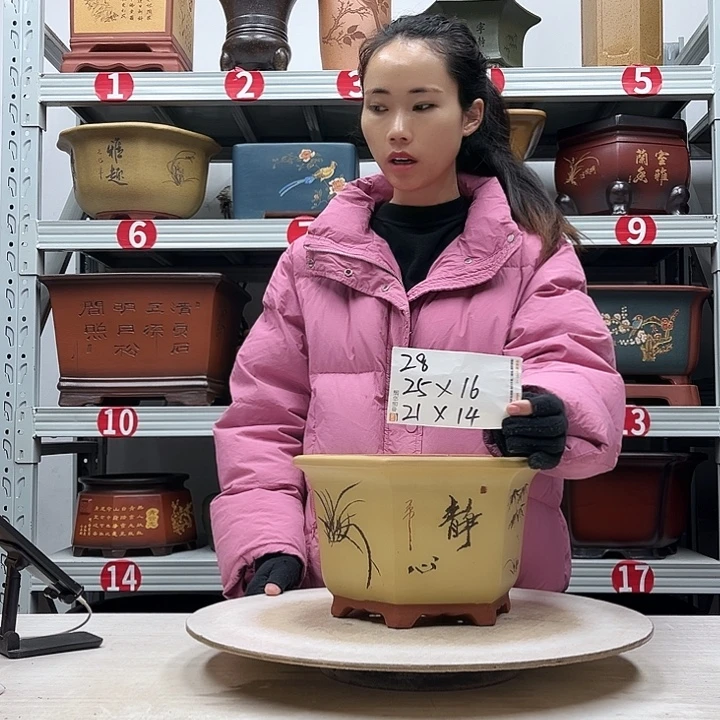 紫砂花盆紫砂花盆