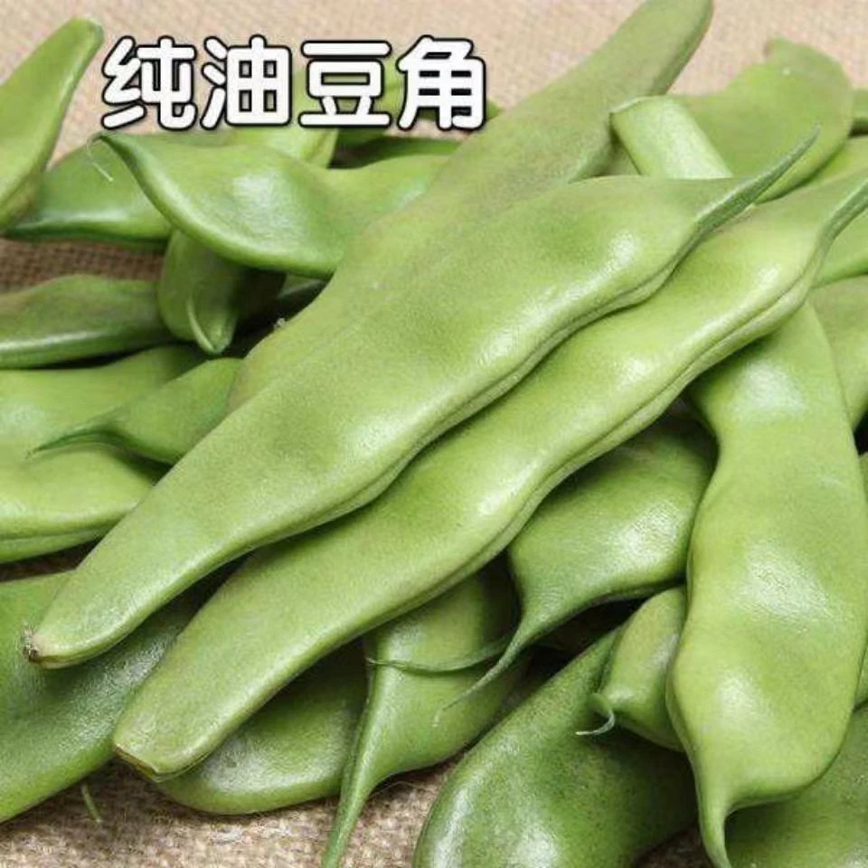 东北新鲜油豆角现摘现发坏果包赔九月青开锅即烂肉质软嫩正宗头茬