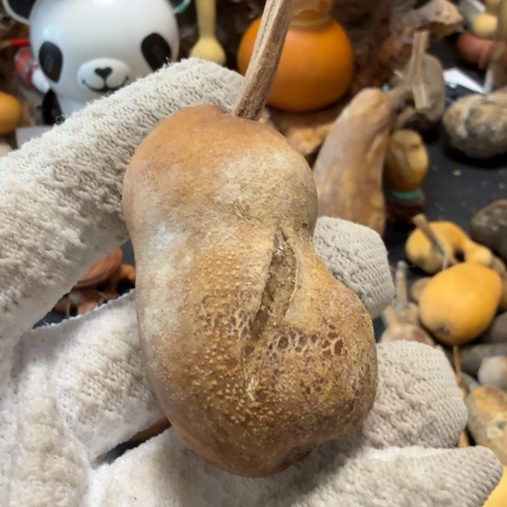 普***r666766676667778878