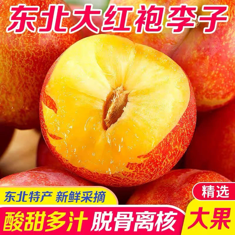 新鲜东北大红袍李子正宗酸甜可口皮酸肉甜当季孕妇水果脱骨李